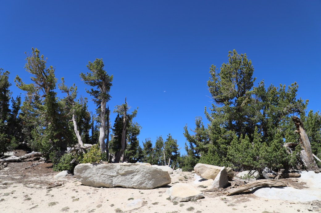 20180705th1022-lake-tahoe-heavenly-village-10k-feet-vista-view-tech-support-photo-IMG_2894